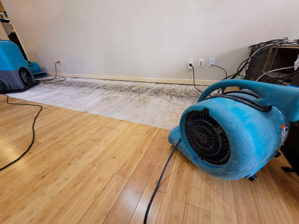 Professional Burst Pipe Water Damage technician working in Luxemburg, WI